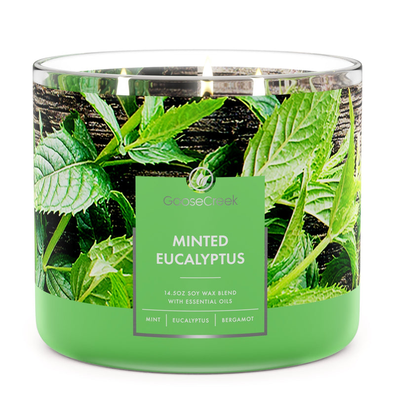 Minted Eucalyptus 3-Wick Candle Edit 1-0141