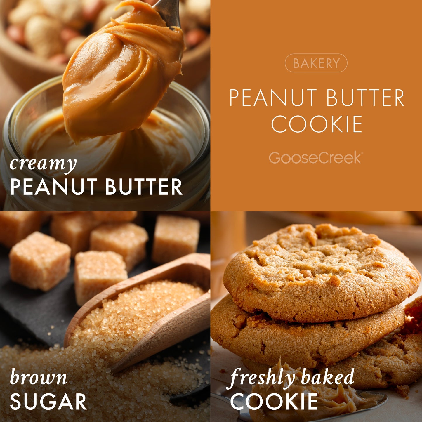 Peanut Butter Cookie 3-Wick Candle